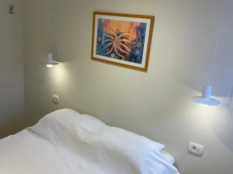 Izdavanje, dvosoban stan, 60m², Škaljari, Kotor - image 8