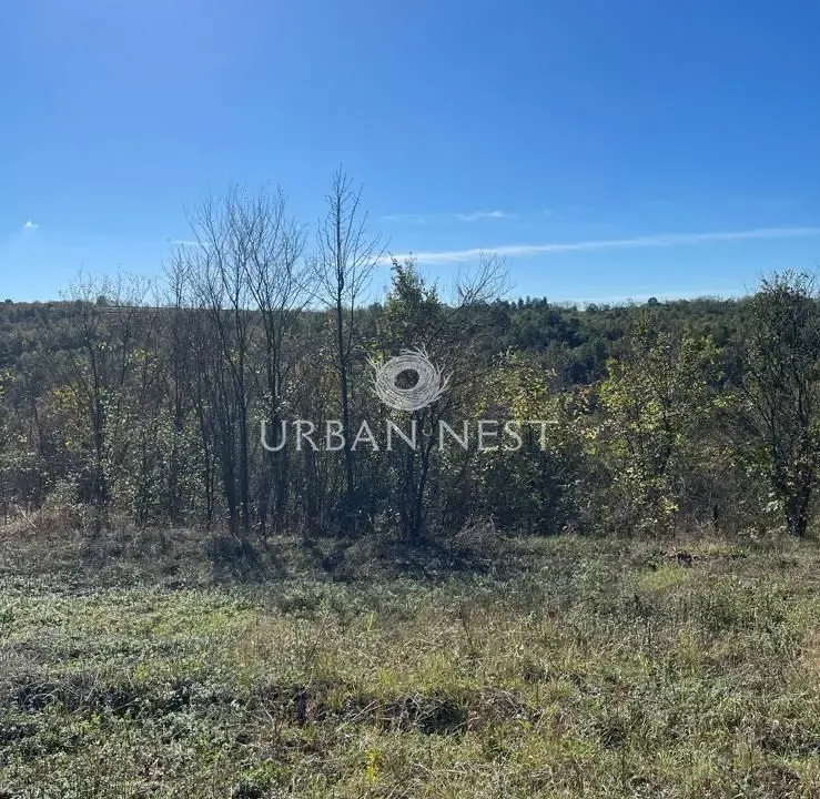 Sale, land lot, 7092m², Glumčevo brdo, Barajevo
