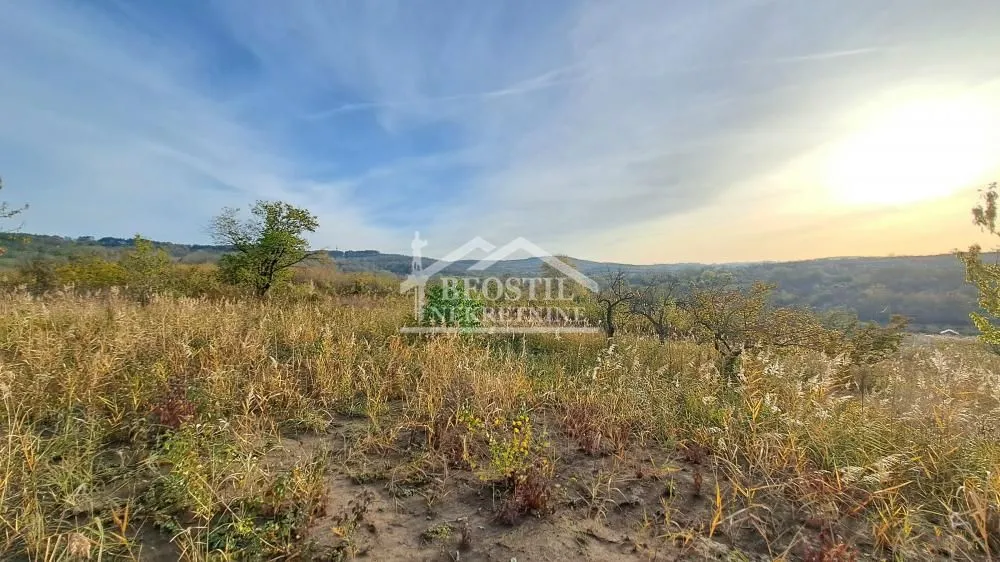 Prodaja, plac, 3000m², Višnjica, Palilula Sve Podlokacije
