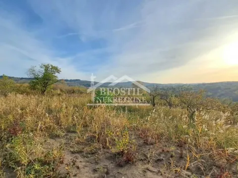 Prodaja, plac, 3000m², Višnjica, Palilula Sve Podlokacije - image 2