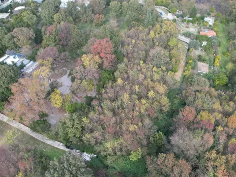 Prodaja, plac, 2673m², Buljarica, Budva - image 3
