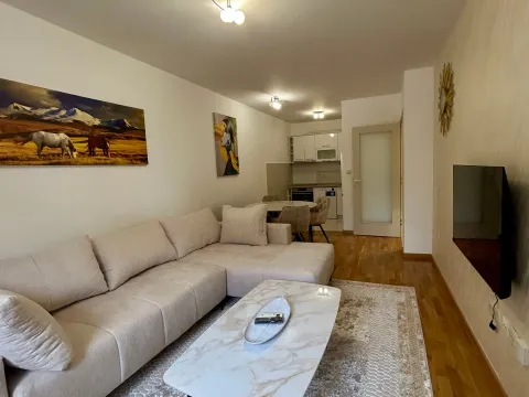 Izdavanje, jednosoban stan, 46m², City Kej, Podgorica - image 3