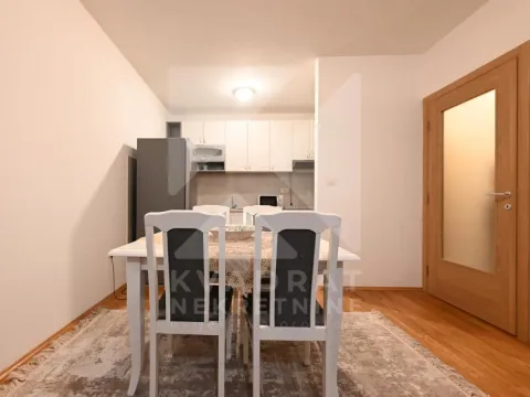 Izdavanje, jednosoban stan, 50m², Stari Aerodrom, Podgorica - image 4