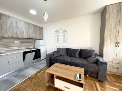 Rent, studio apartment, 35m², Zabjelo, Podgorica - image 6