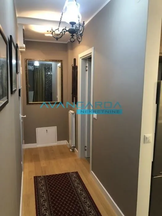Izdavanje, stan, 46m², Dorćol Sve Podlokacije, Beograd