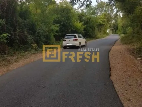 Prodaja, plac, 4400m², Danilovgrad, Crna Gora - image 3