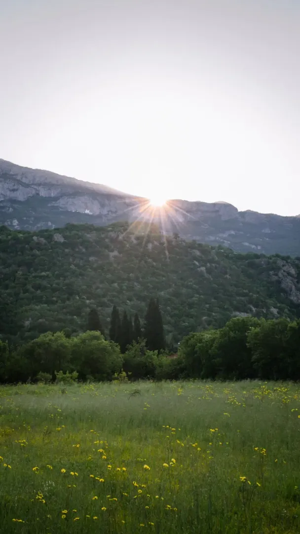 Pogled na zelenu livadu i planine u pozadini tokom zalaska sunca.