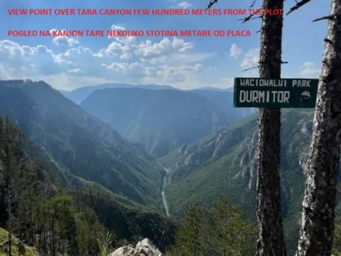 Prodaja, plac, 6750m², Podgora, Žabljak - image 7