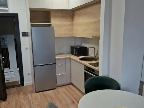 Rent, one bedroom apartment, 42m², Trošarina, Voždovac Sve Podlokacije - image 3