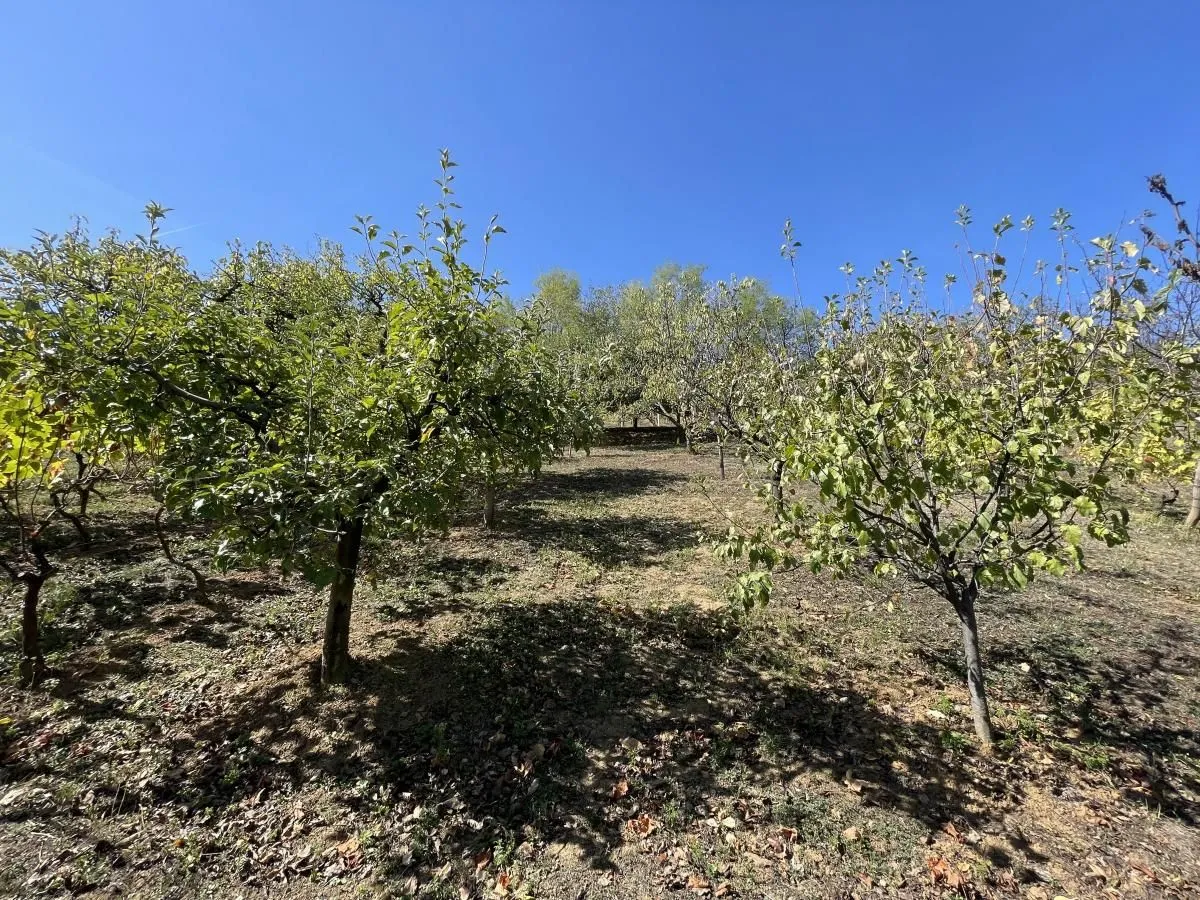 Prodaja, kuća, 54m², Paragovo, Petrovaradin