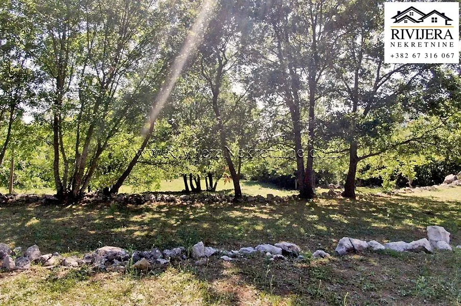 Prodaja, plac, 34000m², Mokrine, Herceg Novi