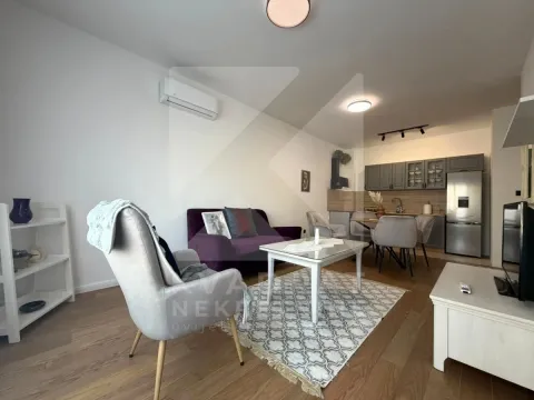Rent, one bedroom apartment, 47m², Donja Gorica, Podgorica - image 2