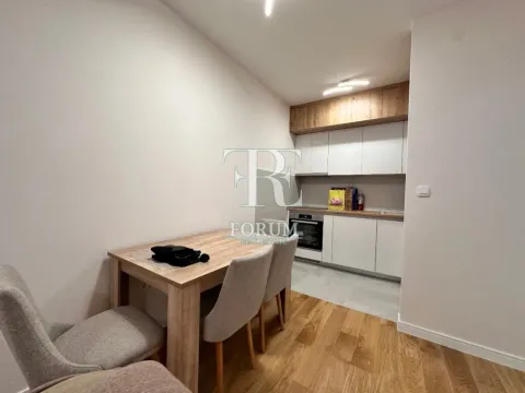 Izdavanje, jednosoban stan, 47m², Central Point, Podgorica - image 3