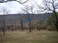 Sale, land lot, 9328m², Mojdež, Herceg Novi - image 13