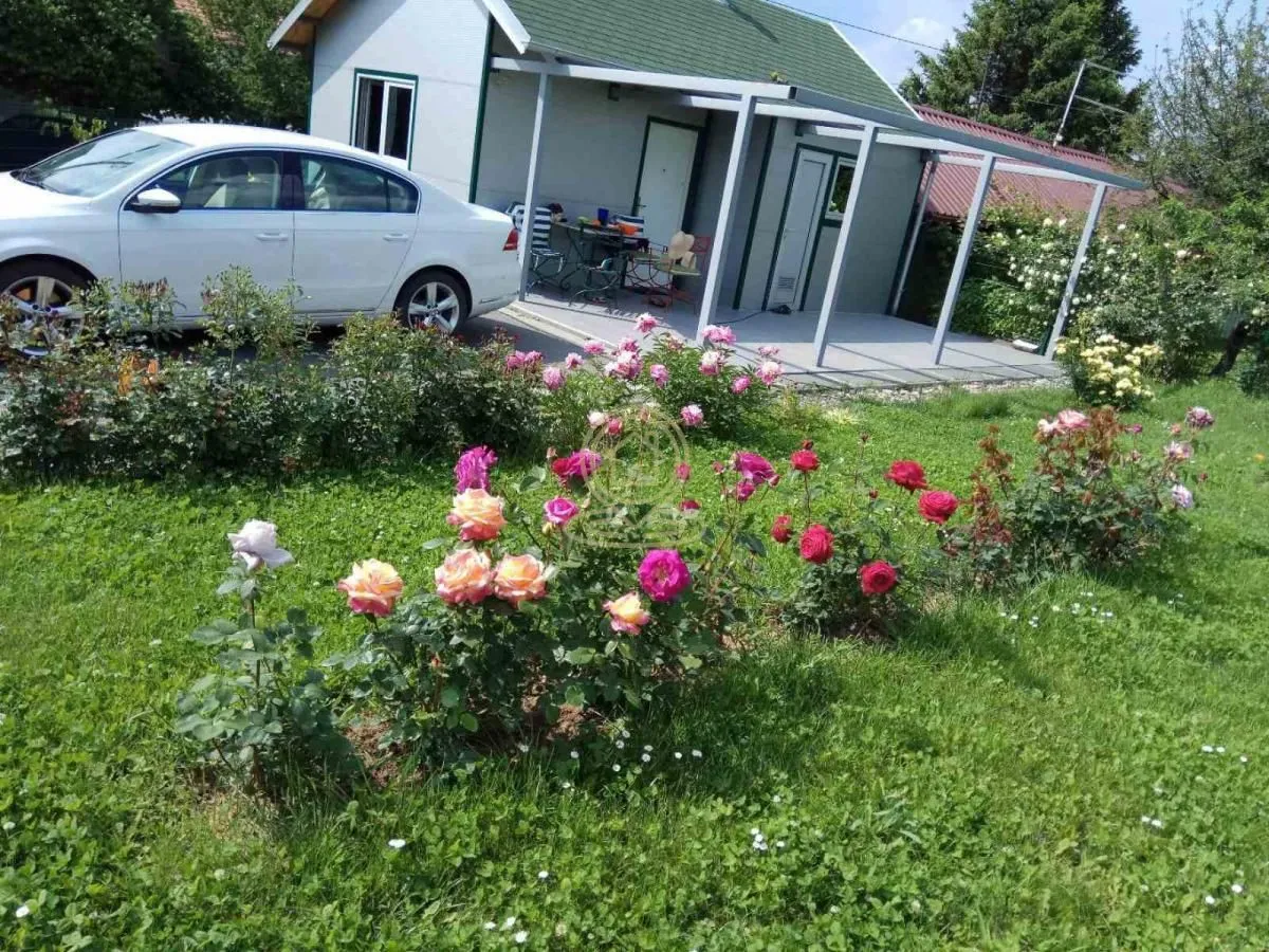 Pogled na dvorište i kuću sa uređenim ružičnjakom i parkiranim automobilom.