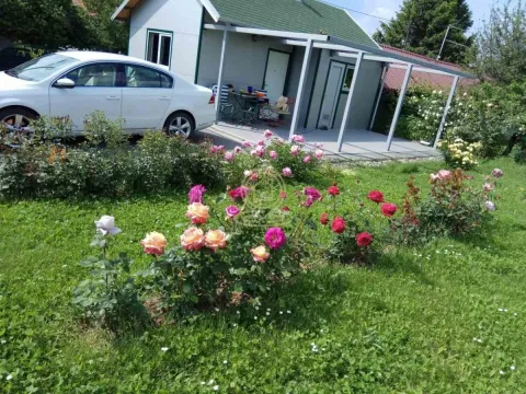 Pogled na dvorište i kuću sa uređenim ružičnjakom i parkiranim automobilom. - image 5