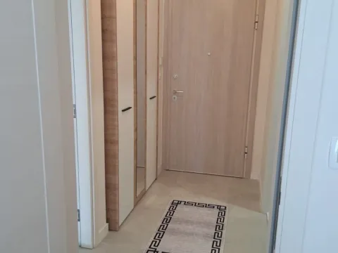 Izdavanje, jednosoban stan, 46m², Central Point, Podgorica - image 13