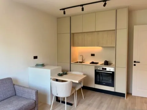 Izdavanje, jednosoban stan, 40m², Preko Morače, Podgorica - image 5