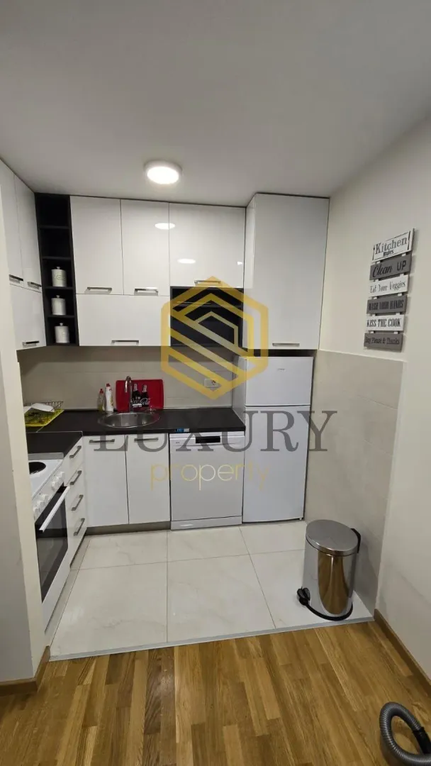 Rent, one bedroom apartment, 44m², Zagorič, Podgorica
