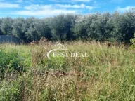 Sale, land lot, 400m², Polje, Bar - image 2