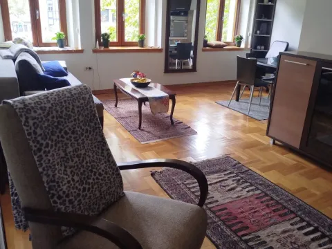 Izdavanje, jednosoban stan, 50m², Centar, Podgorica - image 10