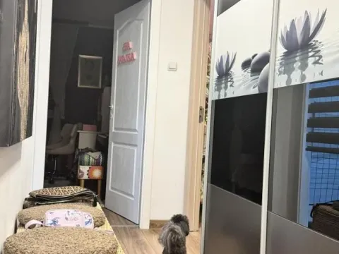 Sale, two bedroom apartment, 47m², Nova Detelinara, Novi Sad Sve Podlokacije - image 19