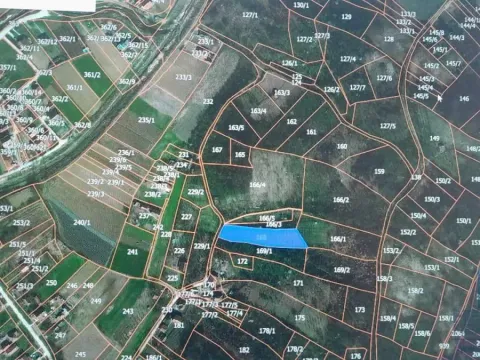 Sale, land lot, 2000m², Trnava, Jagodina - image 2