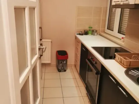 Izdavanje, trosoban stan, 43m², Detelinara, Novi Sad Sve Podlokacije - image 7