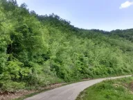 Sale, land lot, 218000m², Nikšić, Crna Gora - image 9