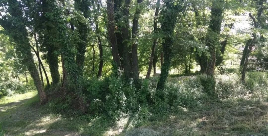 Prodaja, plac, 6500m², Podgorica, Crna Gora