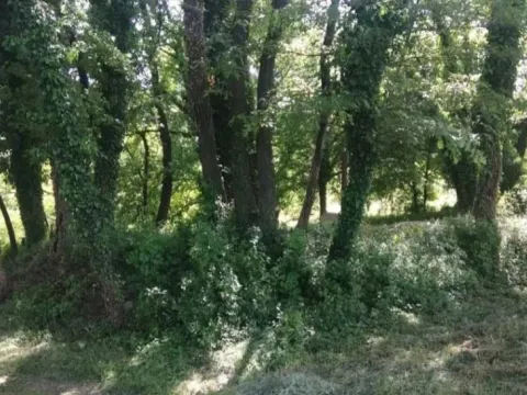 Prodaja, plac, 6500m², Podgorica, Crna Gora - image 7