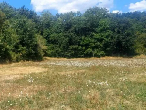 Prodaja, plac, 7279m², Glibavac, Nikšić - image 3