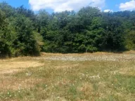 Prodaja, plac, 7279m², Glibavac, Nikšić - image 3