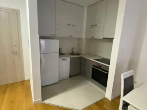 Izdavanje, jednosoban stan, 45m², Central Point, Podgorica - image 3