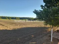 Prodaja, kuća, 194m², Šid, Srbija - image 42