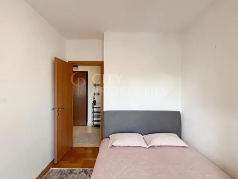 Izdavanje, stan, 36m², Stari Aerodrom, Podgorica - image 3