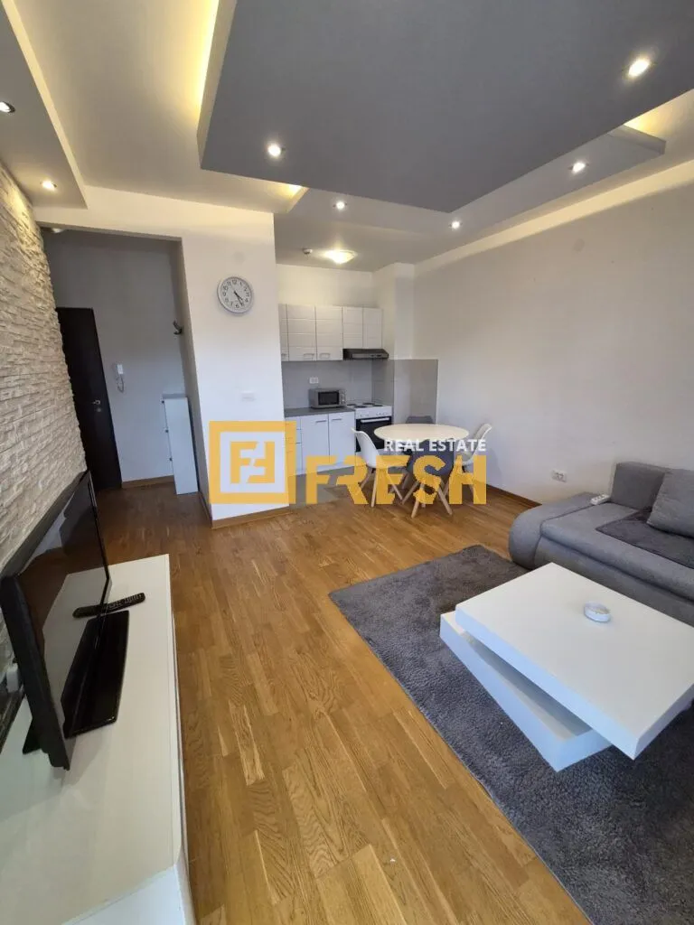 Rent, one bedroom apartment, 45m², Zagorič, Podgorica