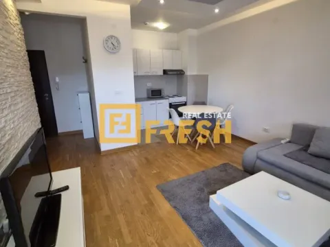 Izdavanje, jednosoban stan, 45m², Zagorič, Podgorica - image 5
