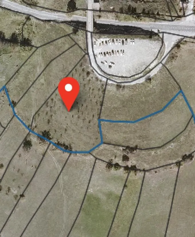 Prodaja, plac, 5557m², Berane, Crna Gora