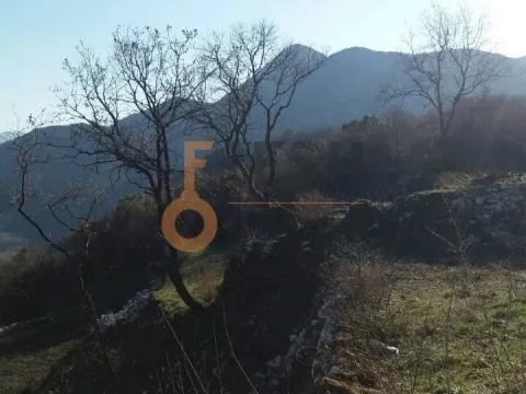 Prodaja, plac, 2200m², Cetinje, Crna Gora - image 6