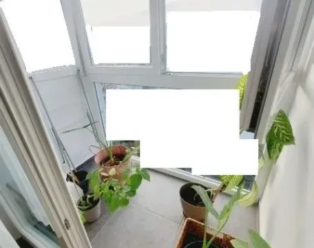 Prodaja, trosoban stan, 77m², Liman 3, Novi Sad Sve Podlokacije - image 12