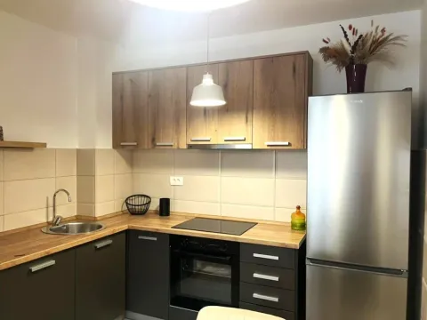 Rent, apartment, 42m², Stari Aerodrom, Podgorica - image 4