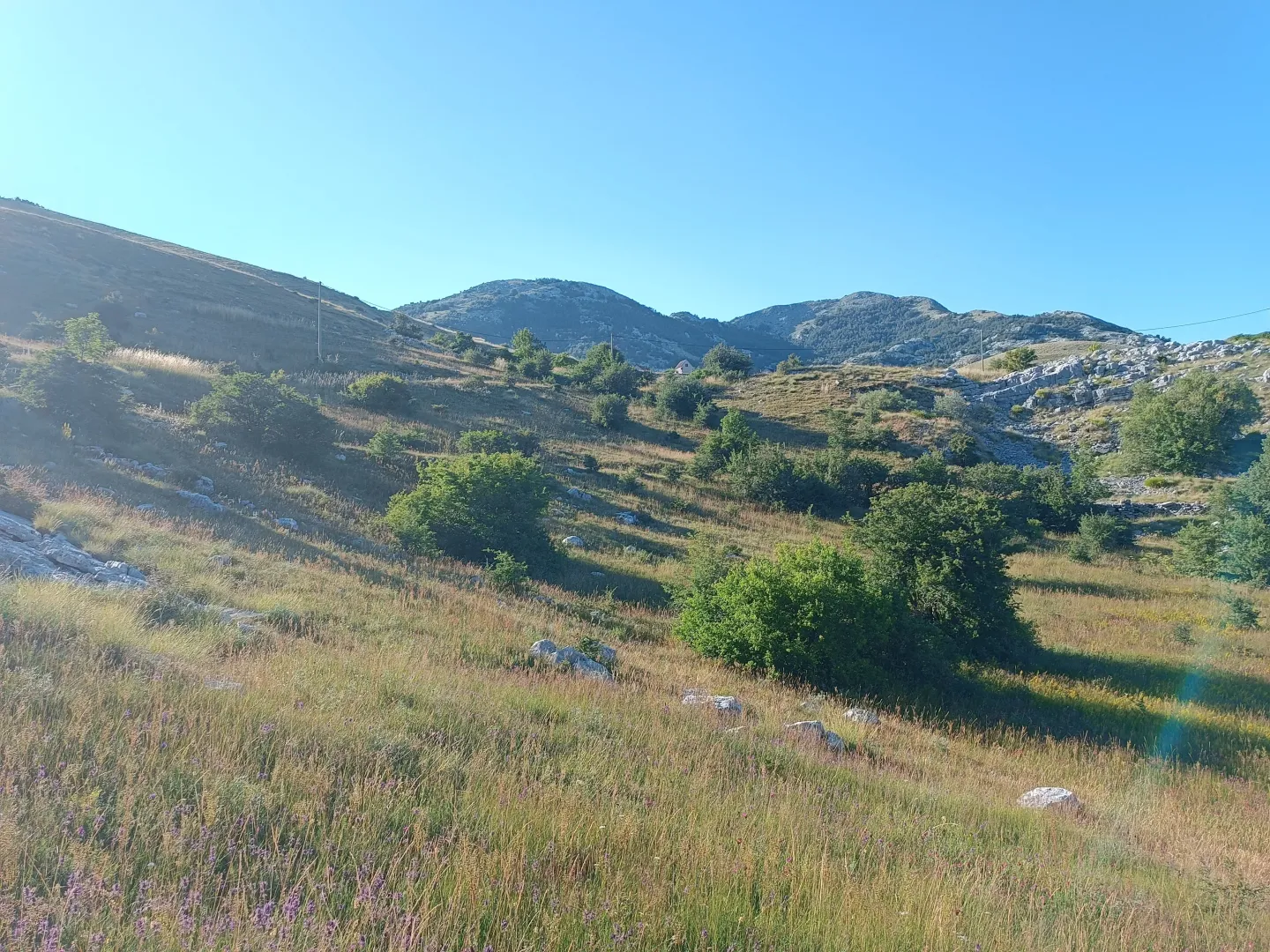 Prodaja, plac, 9000m², Ivanova Korita, Cetinje