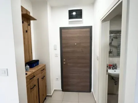 Izdavanje, jednosoban stan, 45m², Zabjelo, Podgorica - image 8