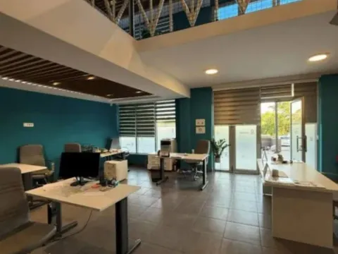 Izdavanje, poslovni prostor, 183m², Krivi Most, Podgorica - image 5