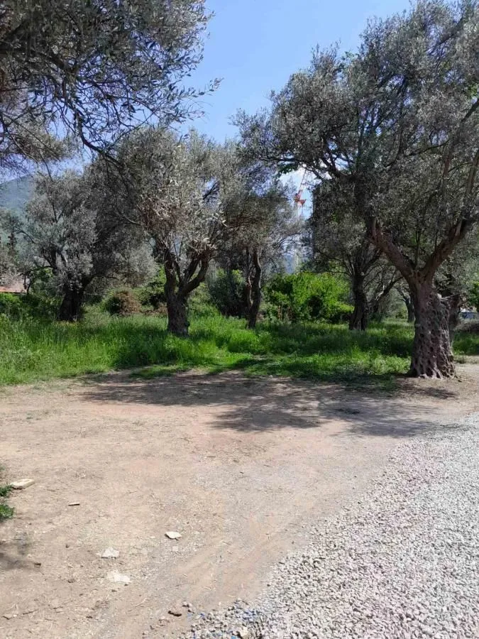Prodaja, plac, 500m², Bjeliši, Bar