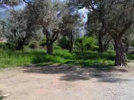 Sale, land lot, 500m², Bjeliši, Bar - image 2