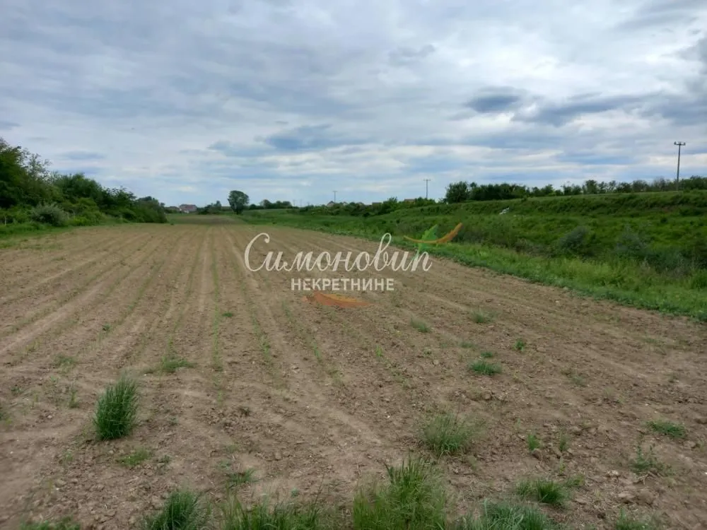 Sale, land lot, 8700m², Surčin, Beograd