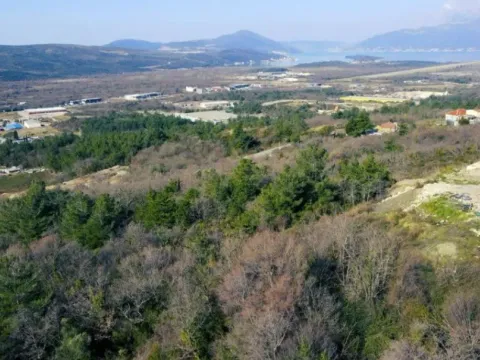 Prodaja, plac, 4347m², Dub, Kotor - image 3