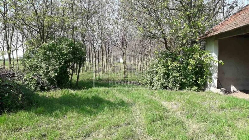 Prodaja, plac, 25312m², Mišićevo, Subotica